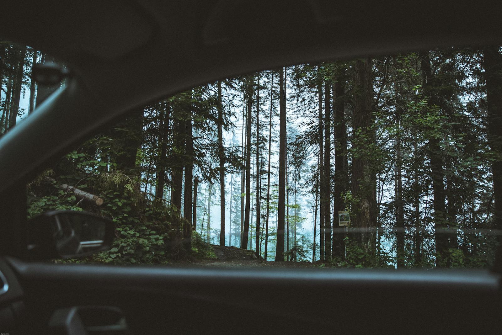 Scenic view of a lush forest through a car window in Söll, Austria.